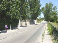 Fotografa del aspecto del paseo Infantes de Espaa con su arbolado y la barandilla existente de tipo municipal.