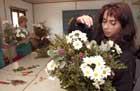Plantas ornamentales
