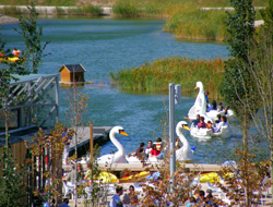 niños en parque