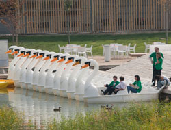zaragoza con niños