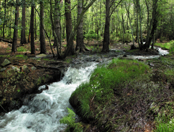 moncayo