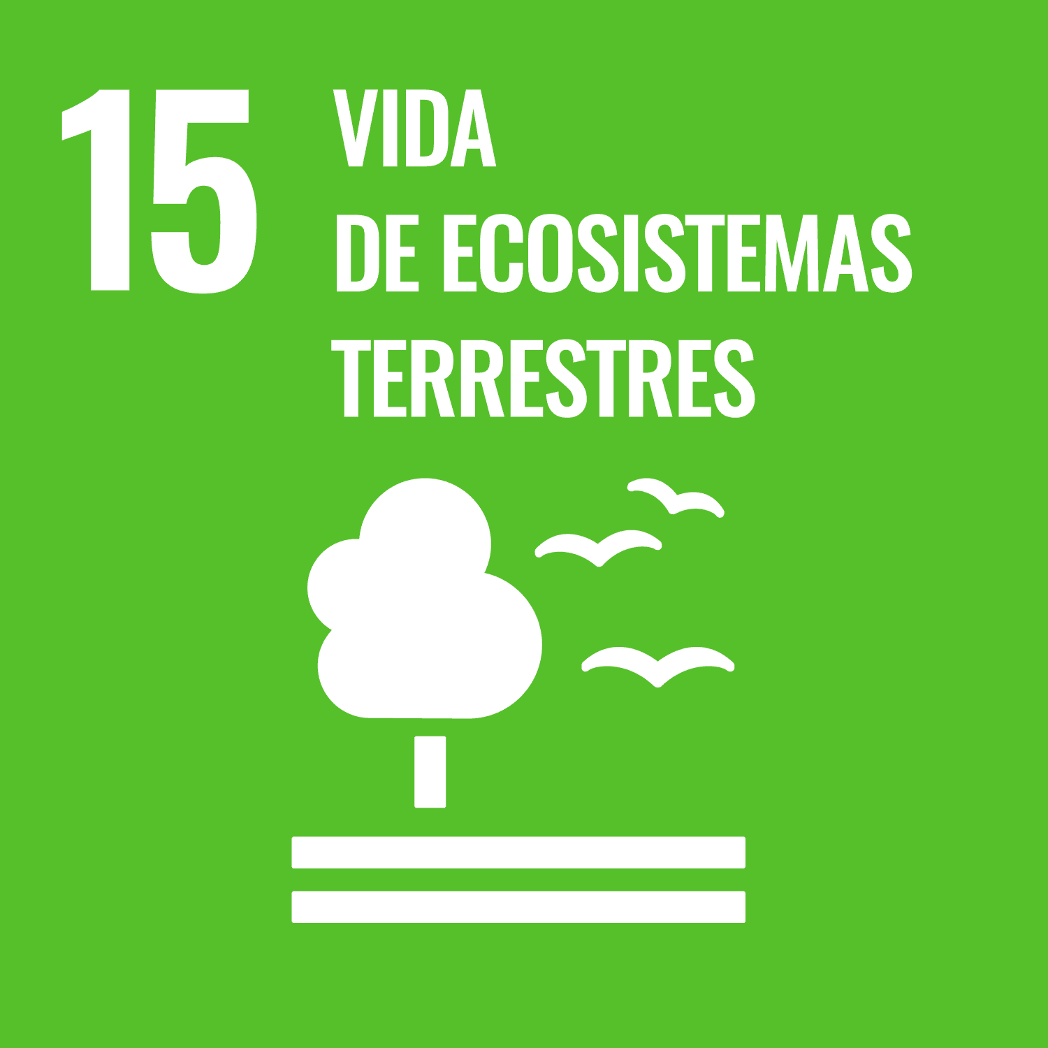 Proteger, restablecer y promover el uso sostenible de los ecosistemas terrestres, gestionar sosteniblemente los bosques, luchar contra la desertificación, detener e invertir la degradación de las tierras y detener la pérdida de la diversidad biológica.